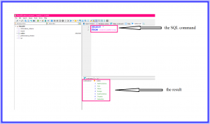 Where to download SQL?